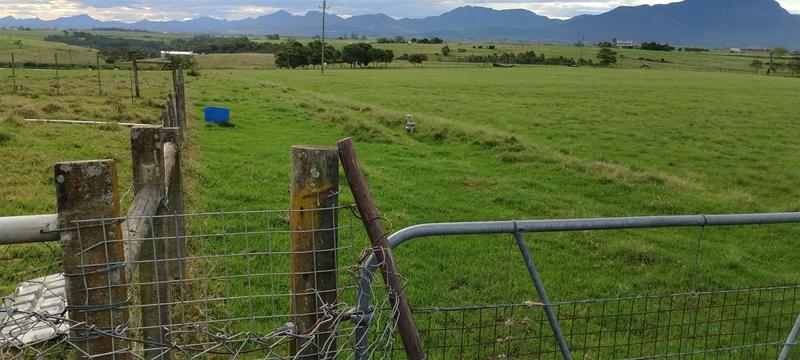 4 Bedroom Property for Sale in George Rural Western Cape